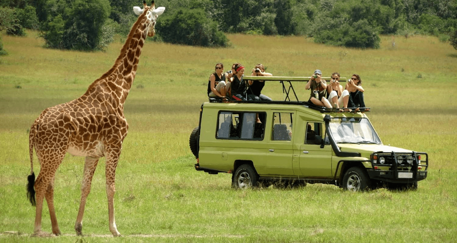 Kenya Safari Explorer