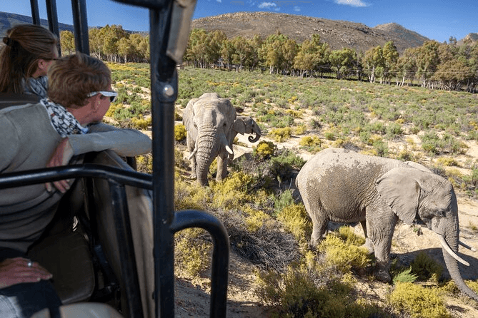 South Africa Group Adventure