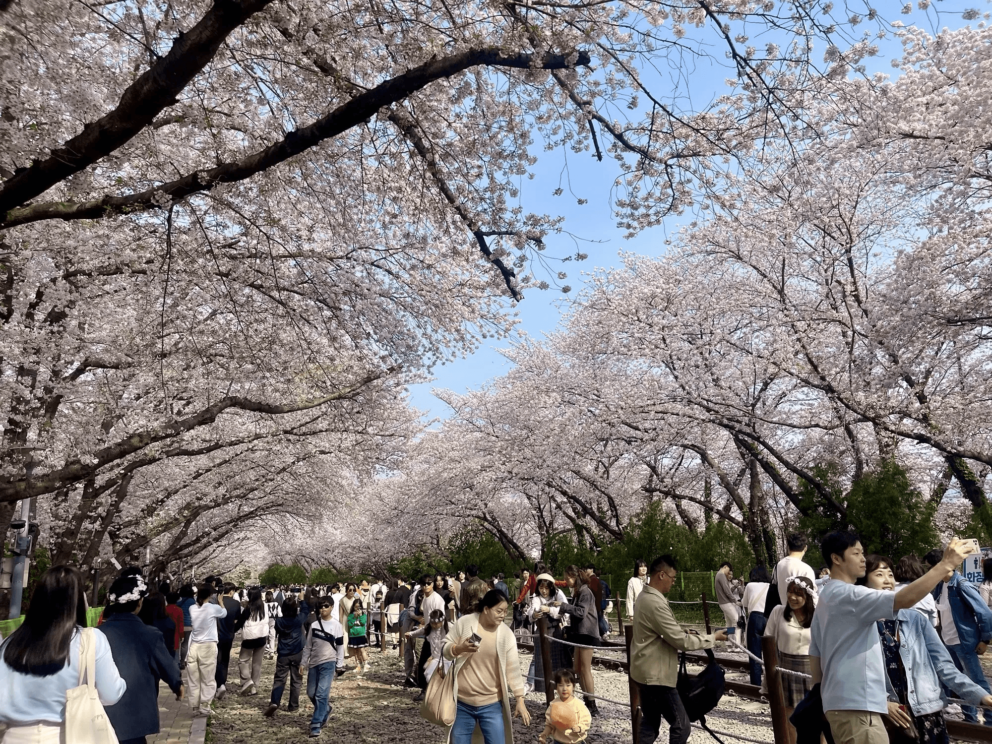 Korea