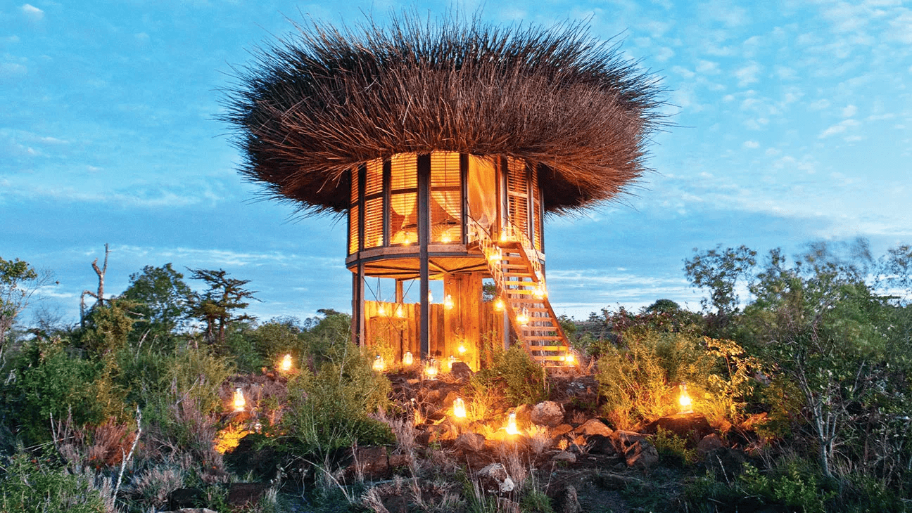 Safari Experiences