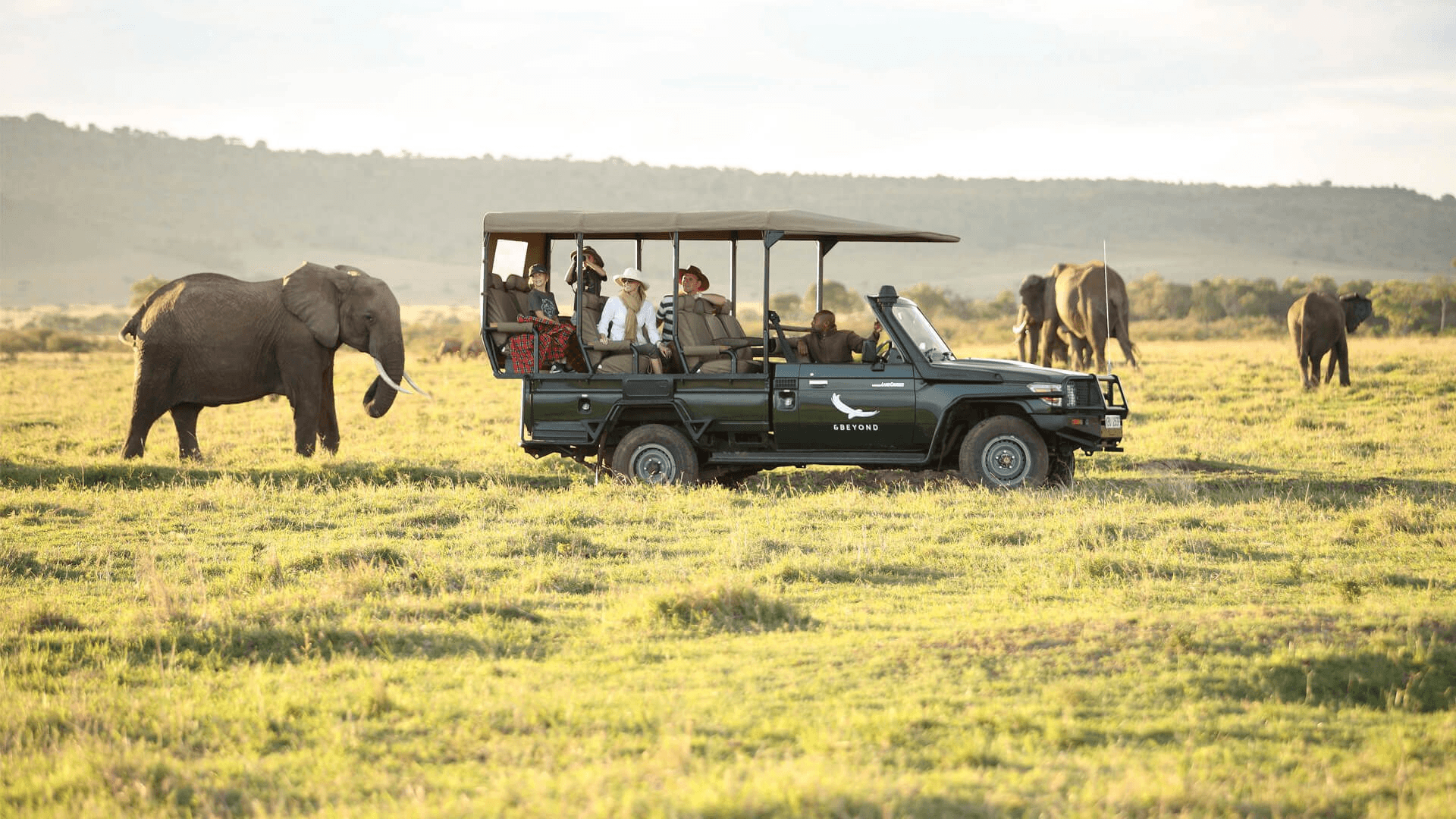 Safari Game Drives